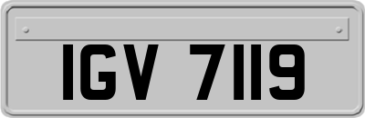 IGV7119