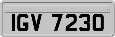 IGV7230