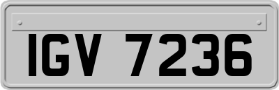 IGV7236