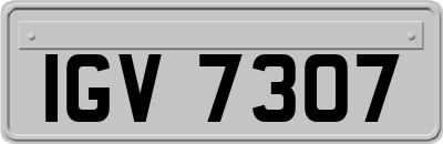 IGV7307