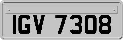 IGV7308