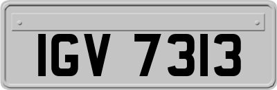 IGV7313