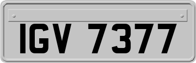 IGV7377