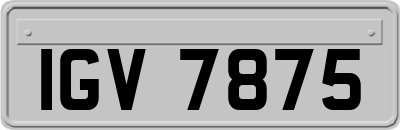 IGV7875