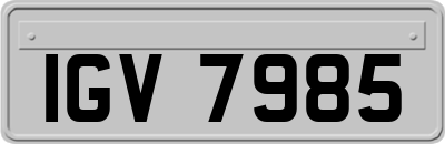 IGV7985