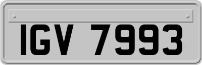IGV7993
