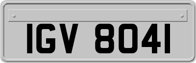 IGV8041