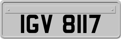 IGV8117