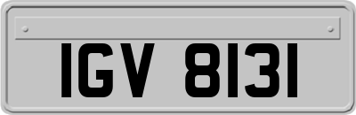 IGV8131