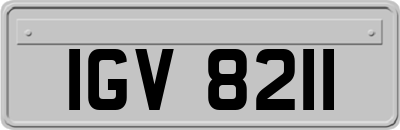 IGV8211