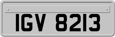 IGV8213