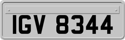 IGV8344