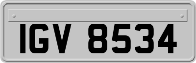IGV8534