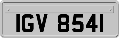 IGV8541