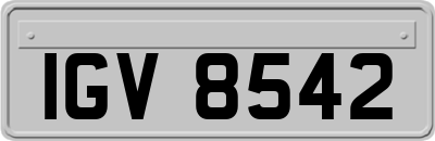 IGV8542