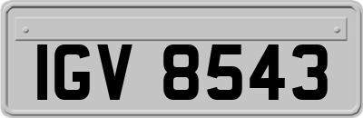 IGV8543