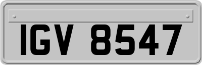 IGV8547