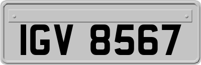 IGV8567