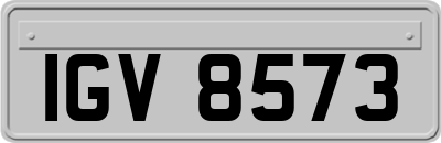 IGV8573