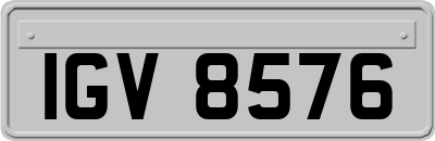 IGV8576