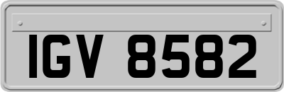 IGV8582