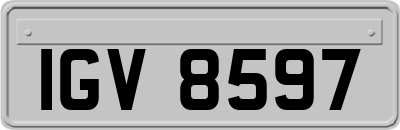 IGV8597