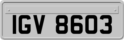 IGV8603