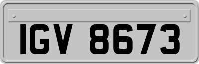 IGV8673