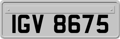 IGV8675