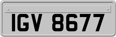 IGV8677