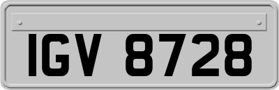 IGV8728