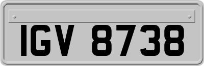 IGV8738