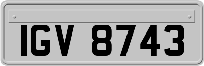 IGV8743