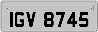 IGV8745
