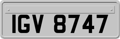 IGV8747