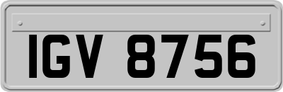 IGV8756