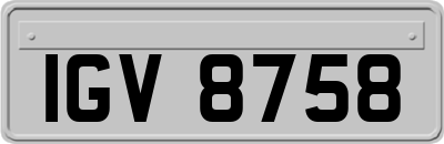 IGV8758