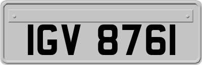 IGV8761