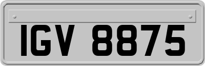 IGV8875