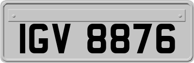IGV8876