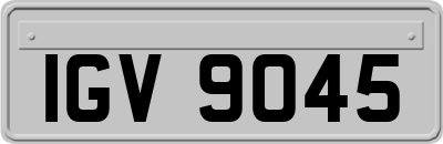 IGV9045