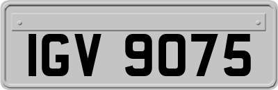 IGV9075