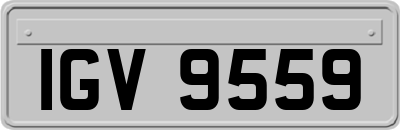 IGV9559