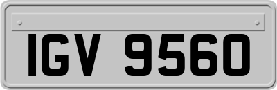 IGV9560