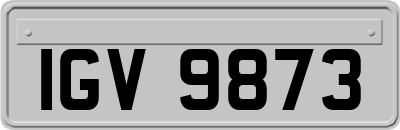 IGV9873