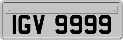 IGV9999