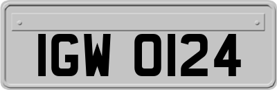 IGW0124