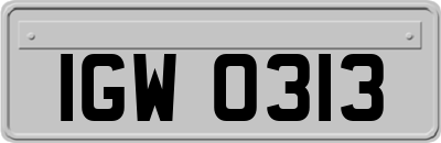 IGW0313