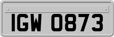 IGW0873