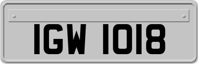 IGW1018